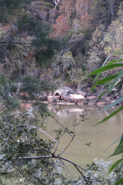 Great North Walk from Cowan to Brooklyn, East Coast Australia