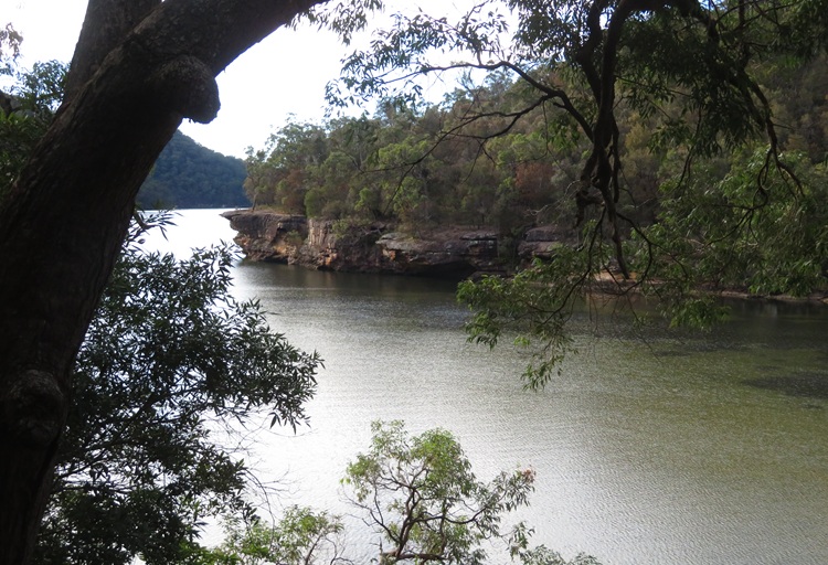 Great North Walk from Cowan to Brooklyn, East Coast Australia