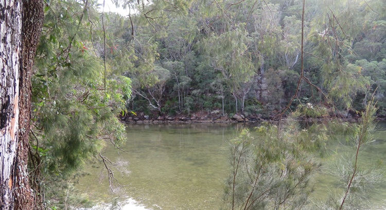 Great North Walk from Cowan to Brooklyn, East Coast Australia
