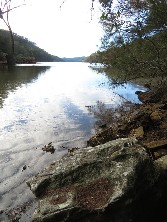 Great North Walk from Cowan to Brooklyn, East Coast Australia
