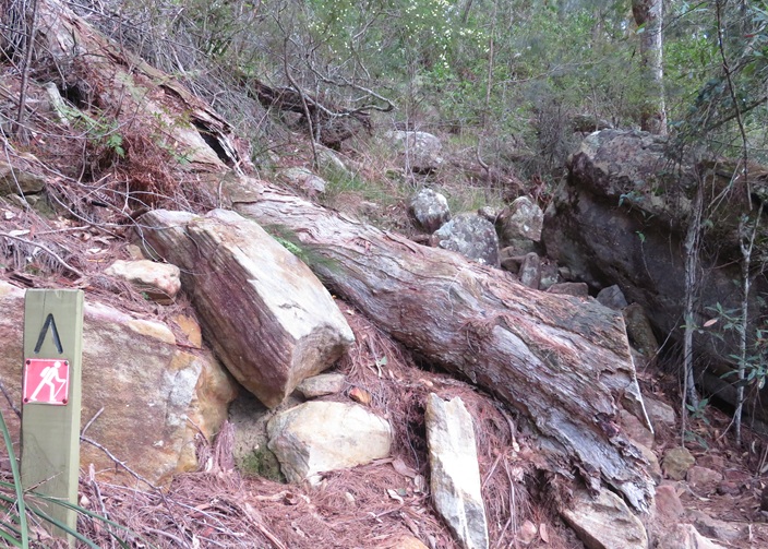Great North Walk from Cowan to Brooklyn, East Coast Australia