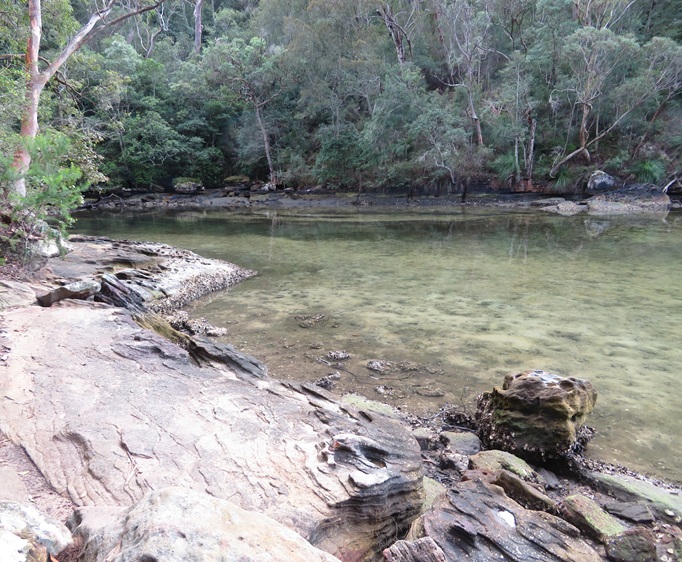 Great North Walk from Cowan to Brooklyn, East Coast Australia