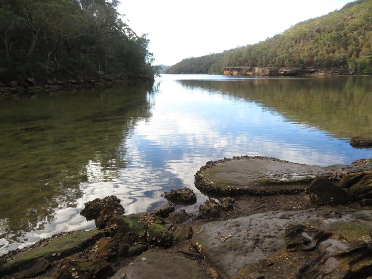 Great North Walk from Cowan to Brooklyn, East Coast Australia