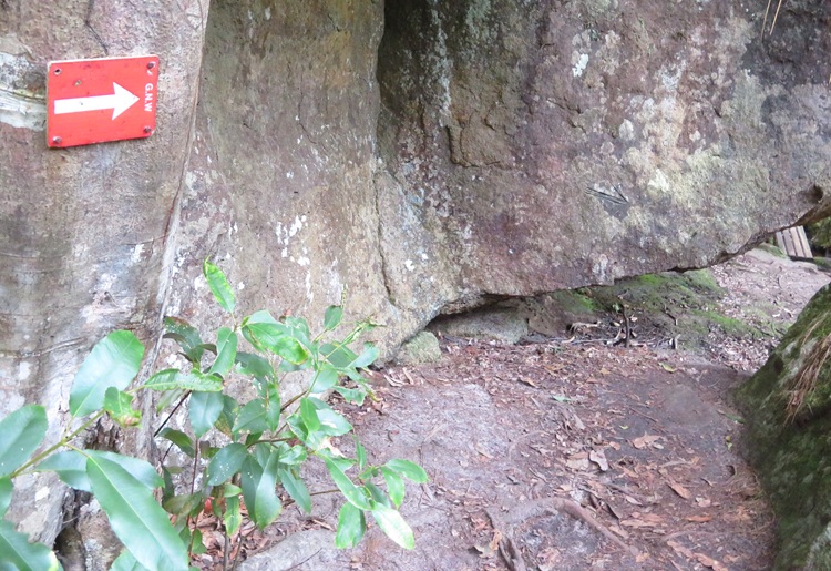 Great North Walk from Cowan to Brooklyn, East Coast Australia