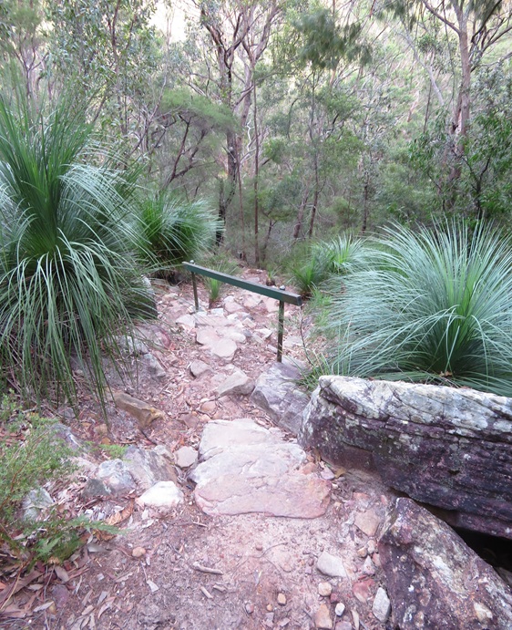 Great North Walk from Cowan to Brooklyn, East Coast Australia