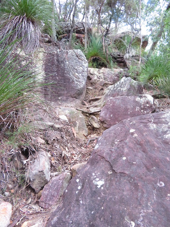 Great North Walk from Cowan to Brooklyn, East Coast Australia