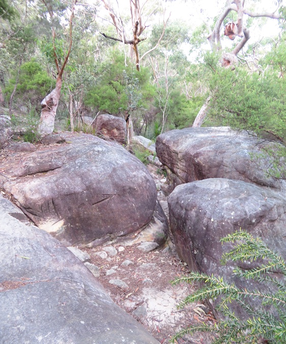 Great North Walk from Cowan to Brooklyn, East Coast Australia