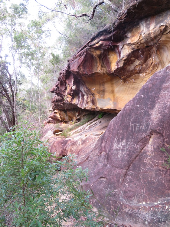 Great North Walk from Cowan to Brooklyn, East Coast Australia