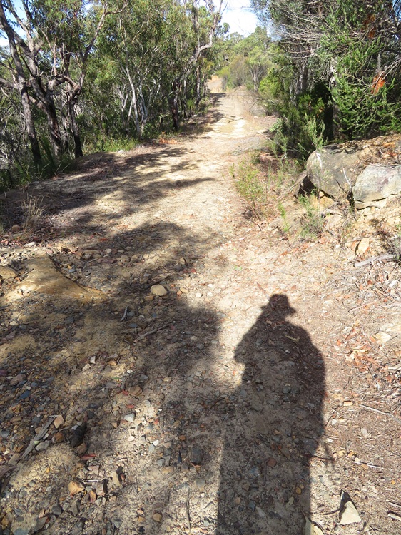 Great North Walk from Cowan to Brooklyn, East Coast Australia