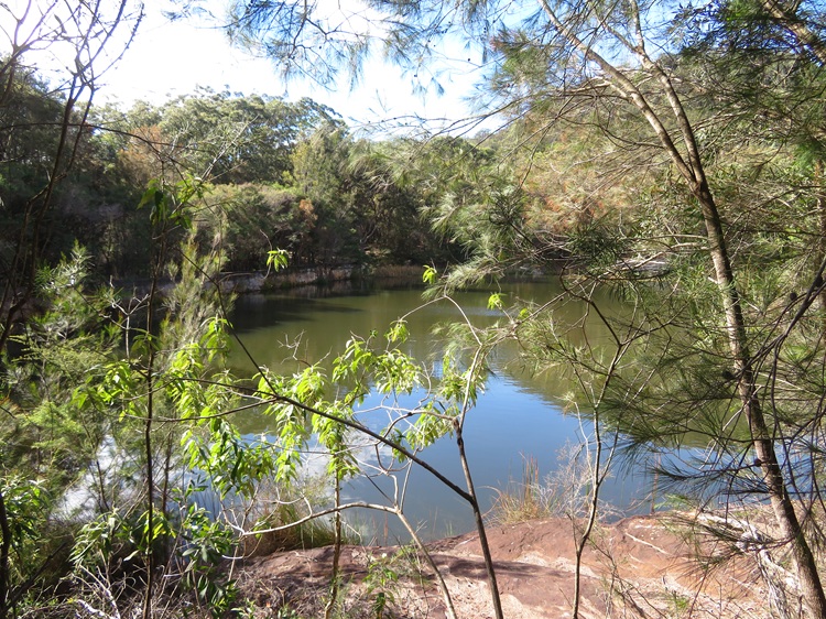 Great North Walk from Cowan to Brooklyn, East Coast Australia