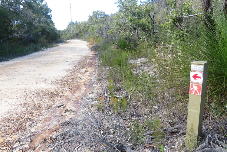Great North Walk from Cowan to Brooklyn, East Coast Australia