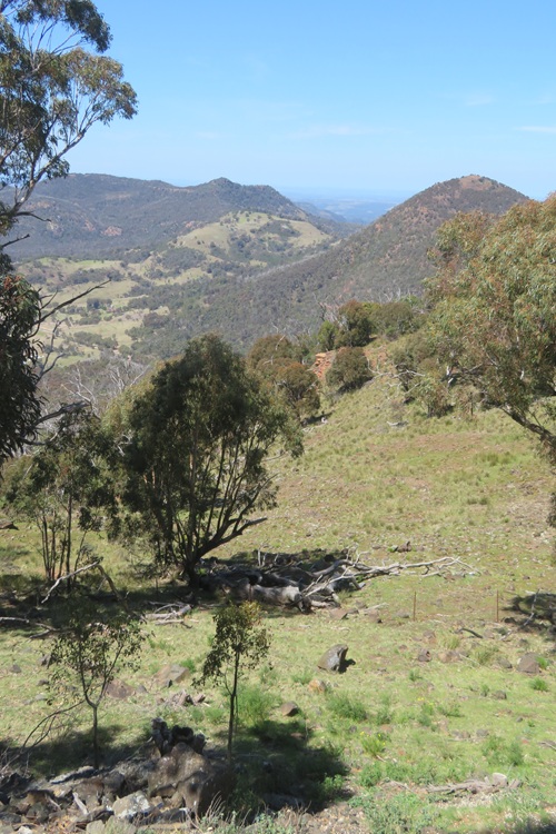 Siding Spring Visitor Centre - interpretive information