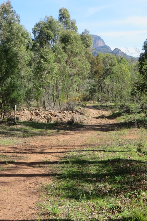 Views from the Belougery Fire Trail in the Warrumbungle National Park. 