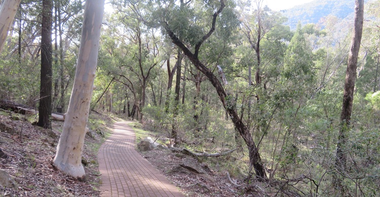 A paved trail to Grand High Tops. Warrumbungle National Park.