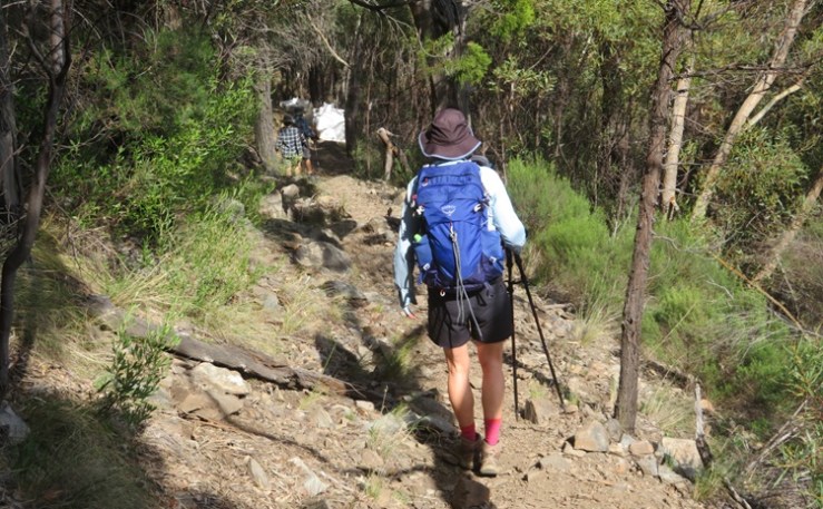 Views from Grand High Tops. Warrumbungle National Park.