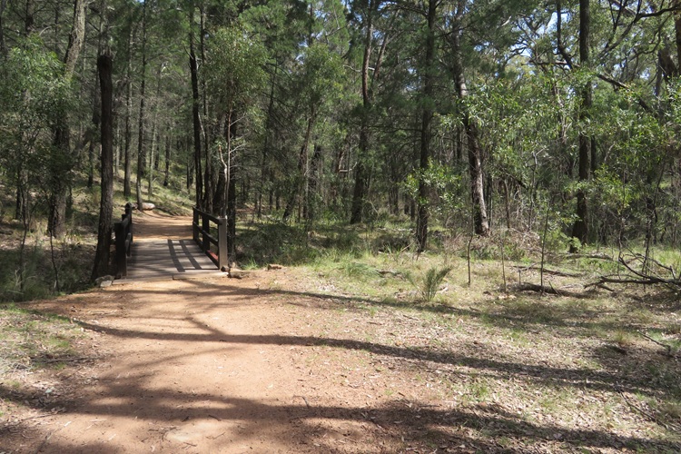 A perfect trail to Grand High Tops. Warrumbungle National Park.