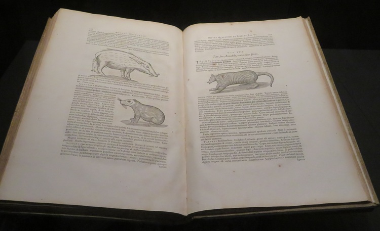 The Amaze Gallery, State Library NSW Sydney