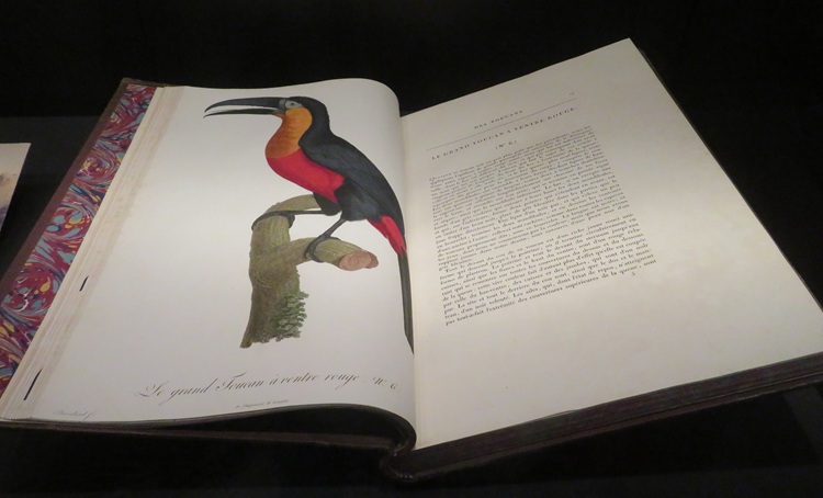 The Amaze Gallery, State Library NSW Sydney