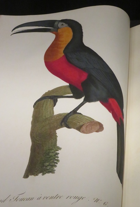 The Amaze Gallery, State Library NSW Sydney