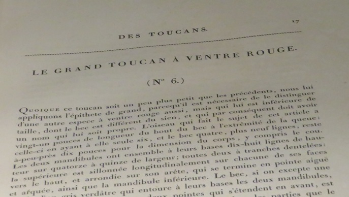 The Amaze Gallery, State Library NSW Sydney