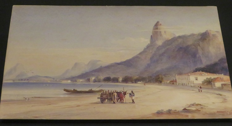 The Amaze Gallery, State Library NSW Sydney