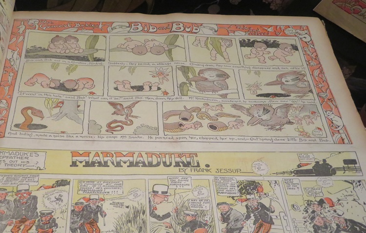 The Amaze Gallery, State Library NSW Sydney