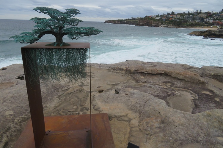 Ficus Maris at Sculpture by the Sea, Bondi Beach 2025