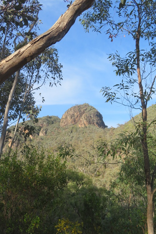 Heading to Mt Exmouth in the Warrumbungle National Park, Western NSW