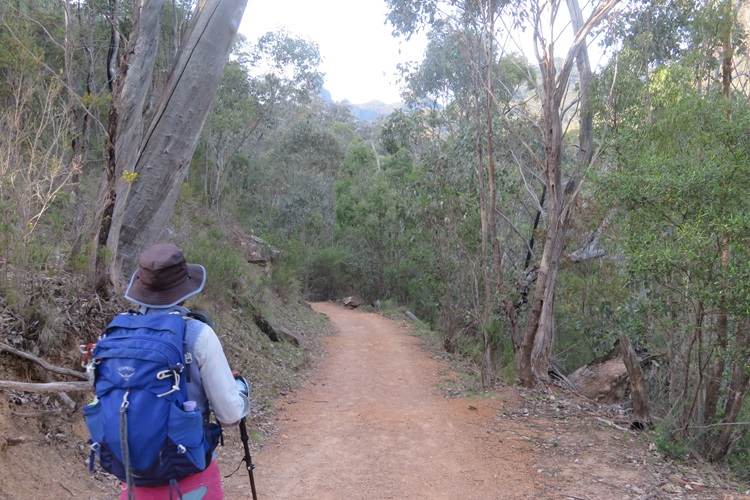 Heading to Mt Exmouth in the Warrumbungle National Park, Western NSW