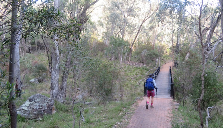 Heading to Mt Exmouth in the Warrumbungle National Park, Western NSW
