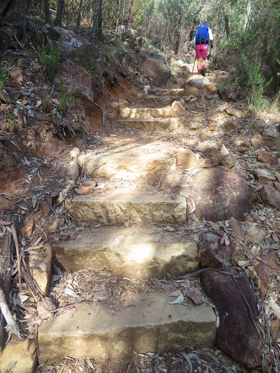 Heading to Mt Exmouth in the Warrumbungle National Park, Western NSW