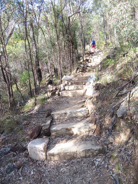 Heading to Mt Exmouth in the Warrumbungle National Park, Western NSW