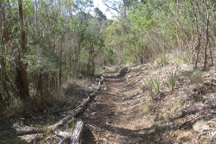 Heading to Mt Exmouth in the Warrumbungle National Park, Western NSW