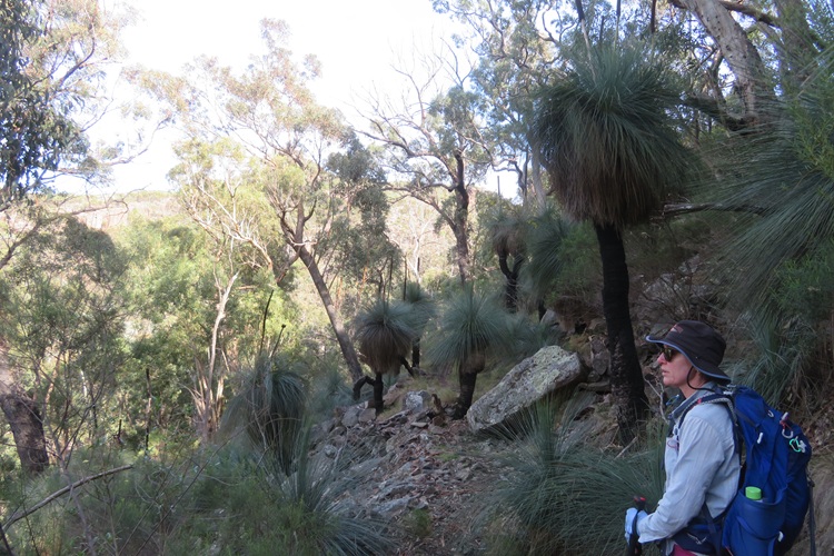 Heading to Mt Exmouth in the Warrumbungle National Park, Western NSW