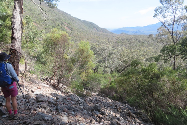 Heading to Mt Exmouth in the Warrumbungle National Park, Western NSW