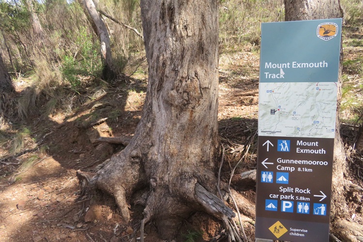 Heading to Mt Exmouth in the Warrumbungle National Park, Western NSW