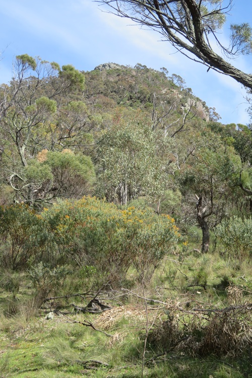 Heading to Mt Exmouth in the Warrumbungle National Park, Western NSW