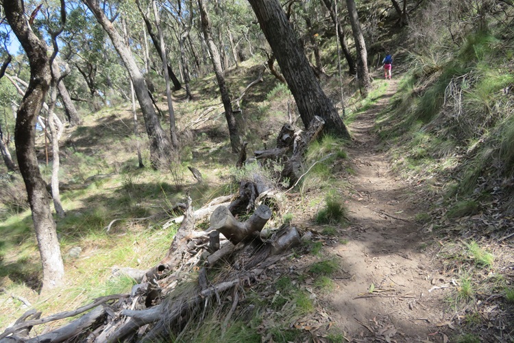 Heading to Mt Exmouth in the Warrumbungle National Park, Western NSW