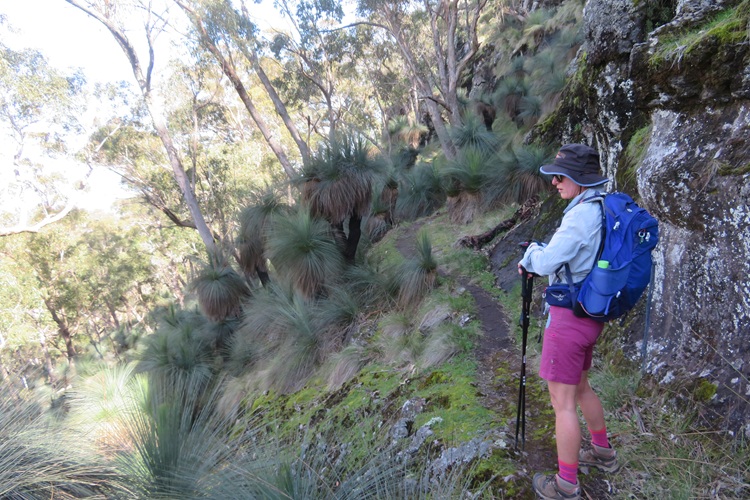 Heading to Mt Exmouth in the Warrumbungle National Park, Western NSW