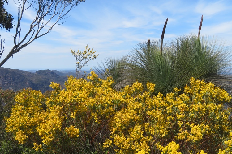 Mt Exmouth in the Warrumbungle National Park, Western NSW