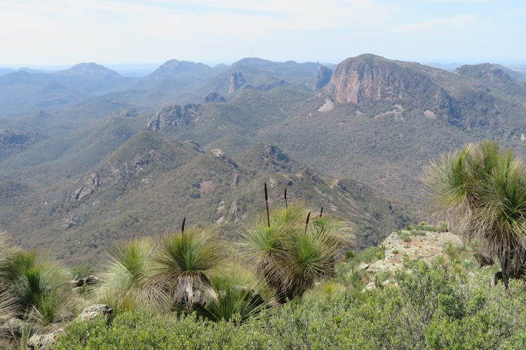 Mt Exmouth in the Warrumbungle National Park, Western NSW
