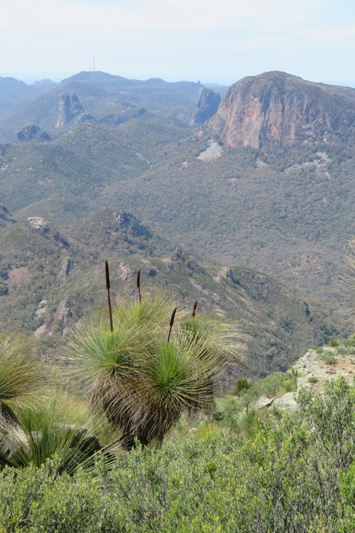 Mt Exmouth in the Warrumbungle National Park, Western NSW