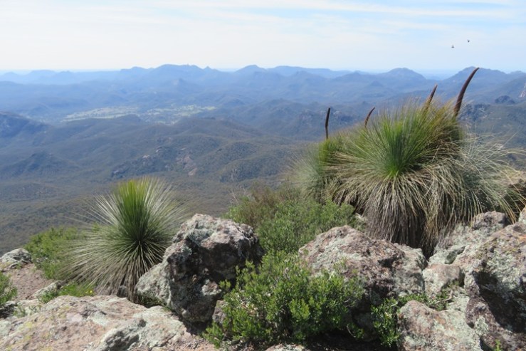 Mt Exmouth in the Warrumbungle National Park, Western NSW