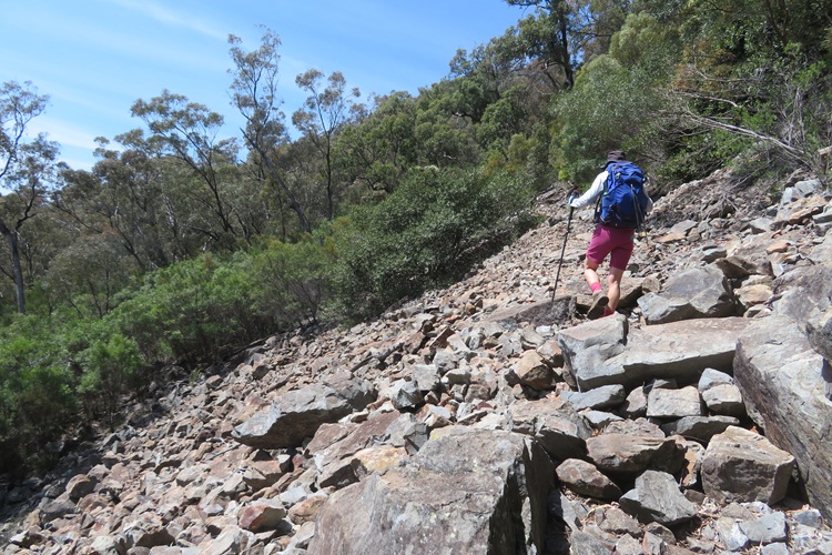 Heading to Mt Exmouth in the Warrumbungle National Park, Western NSW
