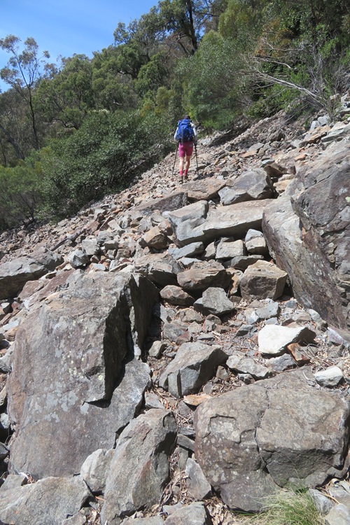 Heading to Mt Exmouth in the Warrumbungle National Park, Western NSW