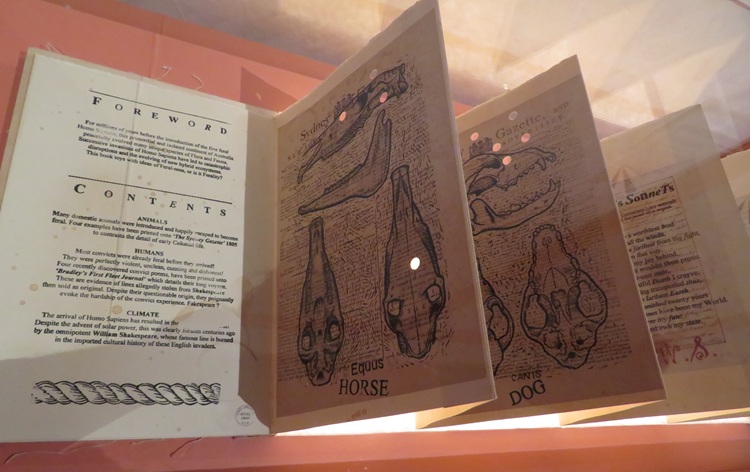 Ferral Australis 2014 - Paper Universe - State Library NSW Sydney