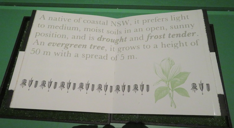 Green 2013 - Paper Universe - State Library NSW Sydney