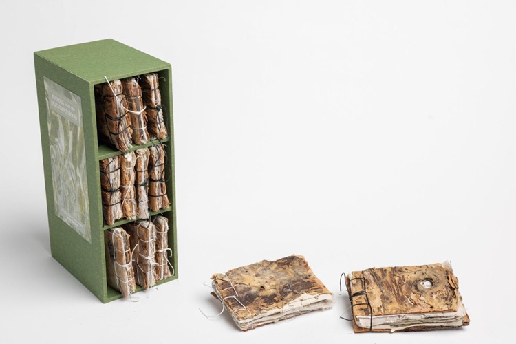 Stories from the neighbourhood Tara Axford - Paper Universe - State Library NSW Sydney