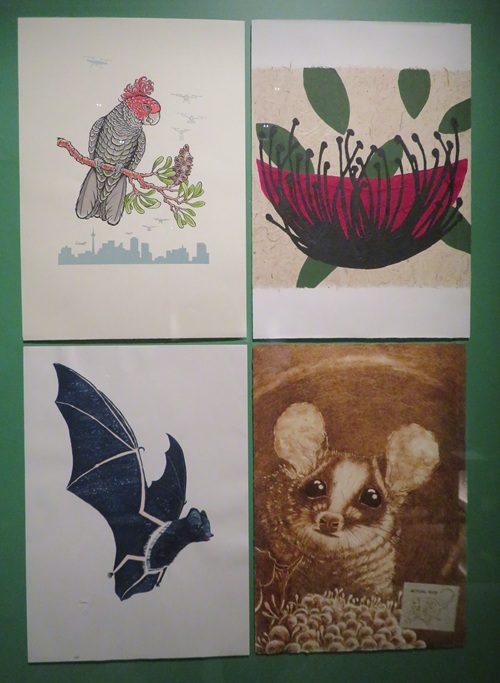 Natural Collection 2017 - Paper Universe - State Library NSW Sydney