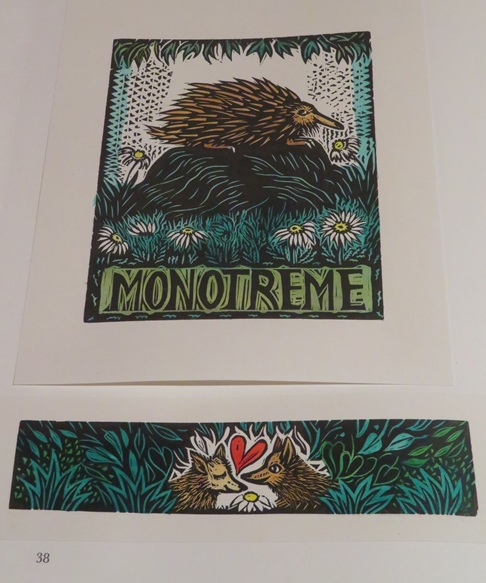 Once Upon a Time 2016 - Paper Universe - State Library NSW Sydney